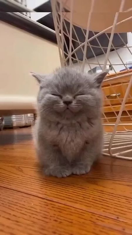 � ������ ���� � ���������. ������� ����! �������� ������� ������� ������� �������: VK | MAX