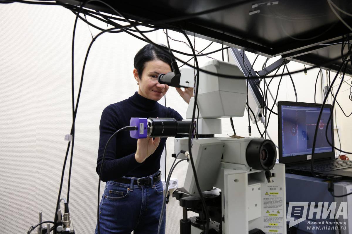 Нижегородская область — в числе регионов-лидеров научно-технологического развития России по итогам 2024 года