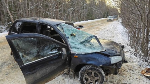 За минувшие сутки 15 декабря 2025 года на территории Нижегородской области произошло 9 ДТП с пострадавшими, в которых 1 человек погиб, 12 получили травмы, в том числе 2 несовершеннолетних