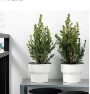 ������ ���������� ���� � ������ �� ������ ������������ ���������� ������ ����