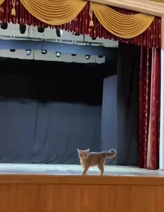 ��������� �������. ������ ����