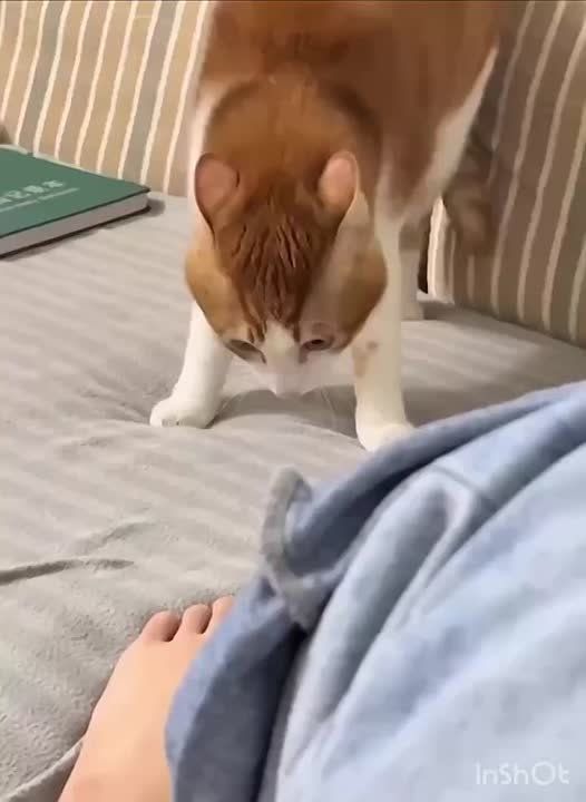 ������� ���� ����� ��� ������, ����� �� �� ������ �������� ����