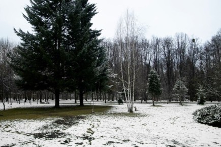 ��������� � ���������� ������� ��� ������������