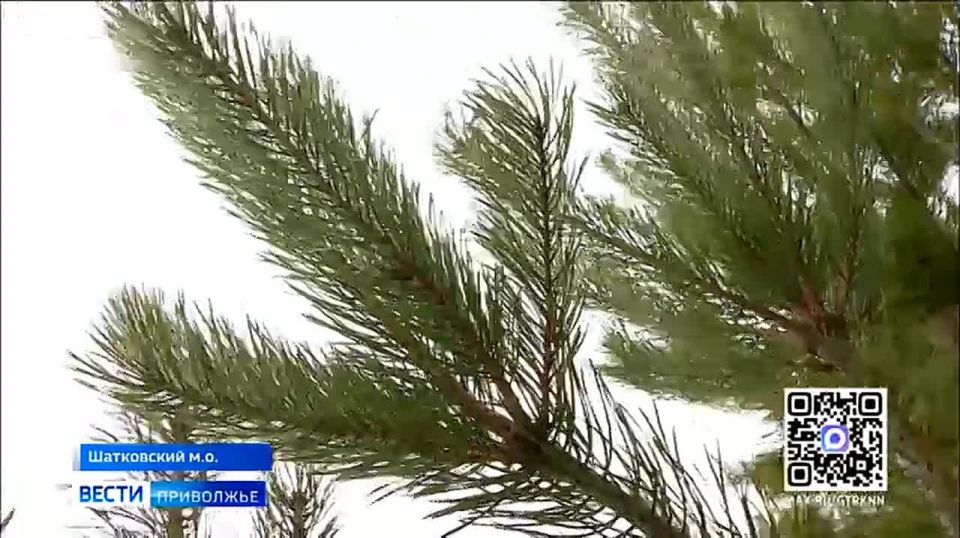 ����� ������ ���� � ���������� ���������� � �������