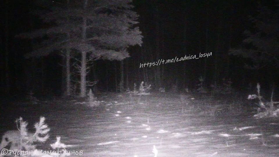 ������� ���� ������ � �������� ����������� � ������������� �������