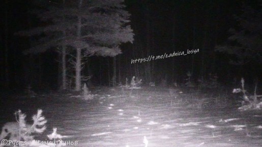 ������� ���� ������ � �������� ����������� � ������������� �������