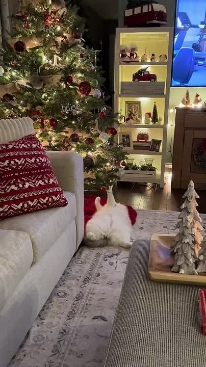 ���� ��������.... ��������� ����, ����������! �������� ������� ������� ������� �������: VK | MAX