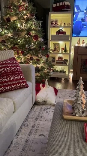 ���� ��������.... ��������� ����, ����������! �������� ������� ������� ������� �������: VK | MAX