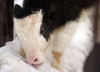 ������� ��� �� �������������� �������� ����� �������� �� ���� ������ ������� ��������