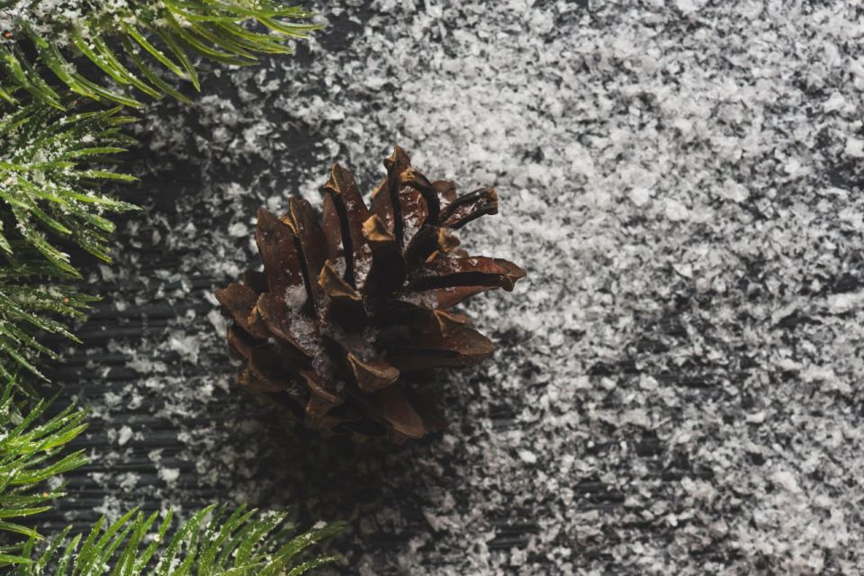 ������� � ������ ��������� �������, ��������� ����