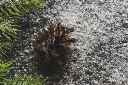 ������� � ������ ��������� �������, ��������� ����