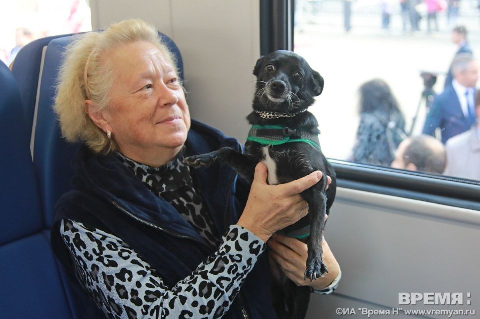 ������ �������� ����� � ���-10 ����������� ��� ������� ������ � ���������