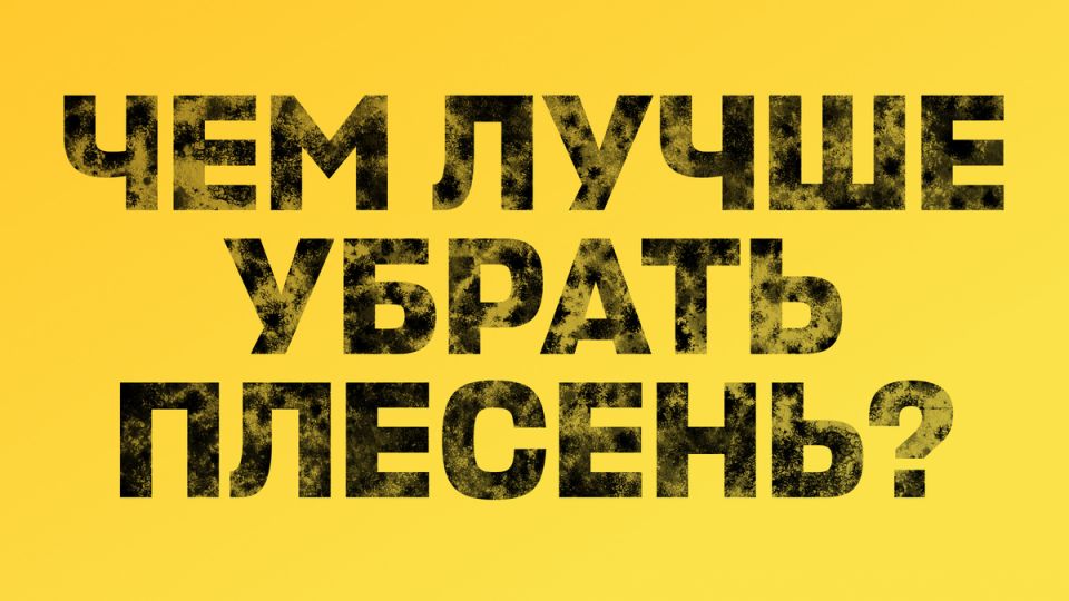 ��� �������� ������� � ����: �������� ������ � ��������� ���������� ������������