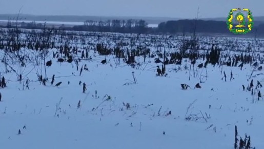 ���� ��������� ������� ��������� ������������������ � ����������� ������