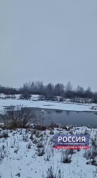 � ����������� ������ �������� ������, �� ����������� ������� � ������ ����