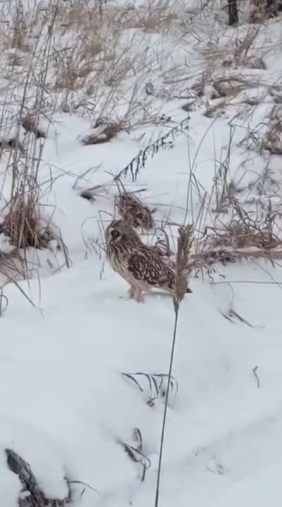 �������� ���� ������� �������� �� ���������� �������� �������������� ��������