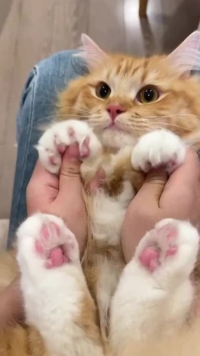 � ������ ��������� ��� ����� ������ ��������