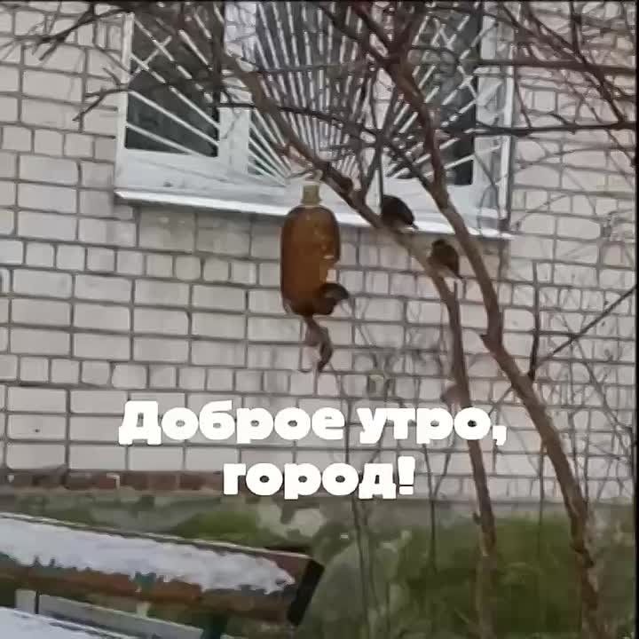 ������ ����, �����������!. ������� � ������ ����������� �������: �����