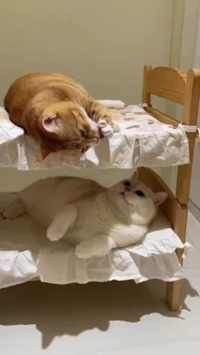 Пора бы и сил набраться