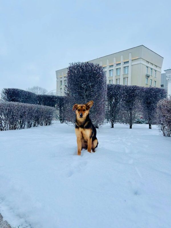 ��������������� �������� ����� ��������� �� ������ ������� ���������, �� � ���������� ����� �����������!