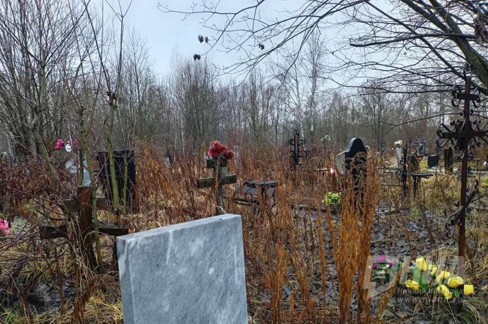 ������������� ����� ����� ������ �� 100 ����� ������ �� �������� ������ ���