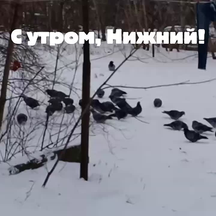 ������ ����, �����������!. ������� � ������ ����������� �������: �����