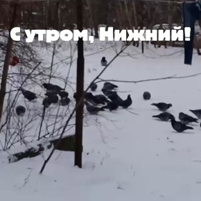 ������ ����, �����������!. ������� � ������ ����������� �������: �����