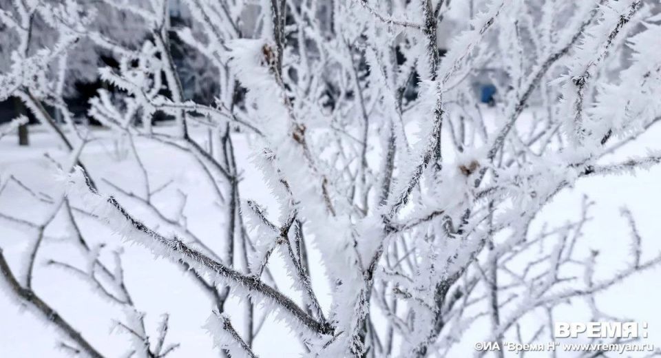 ���� ������� ������������� ������� ���������� �����