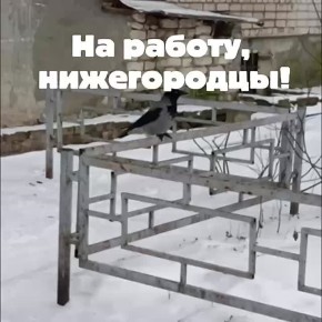 ������ ����, �����������!. ������� � ������ ����������� �������: �����