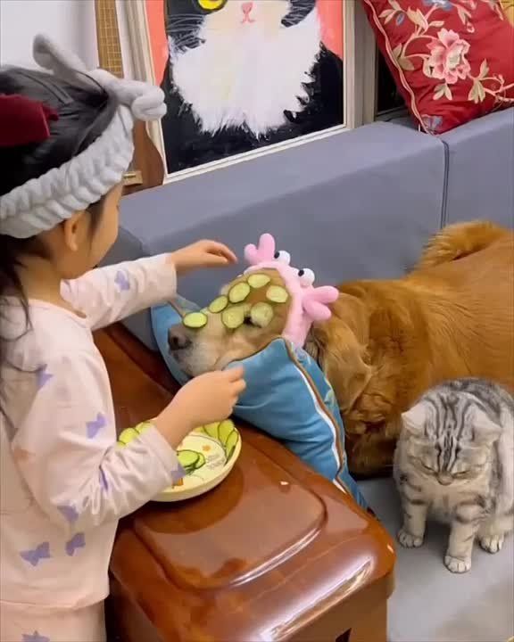 ��������� ���� ��������� ����� ���������