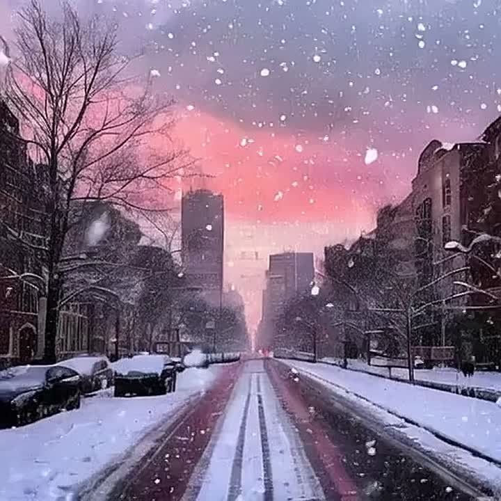 ������ ����, �����������!. ������� � ������ ����������� �������: �����