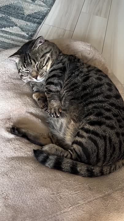 ���� �����. ��������� ����, ������! �������� ������� ������� ������� �������: VK | MAX