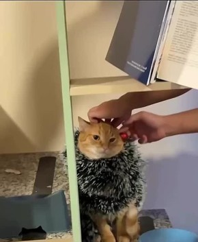 ������ ��������� ����!. �� ������ ���� �������� 5 ����