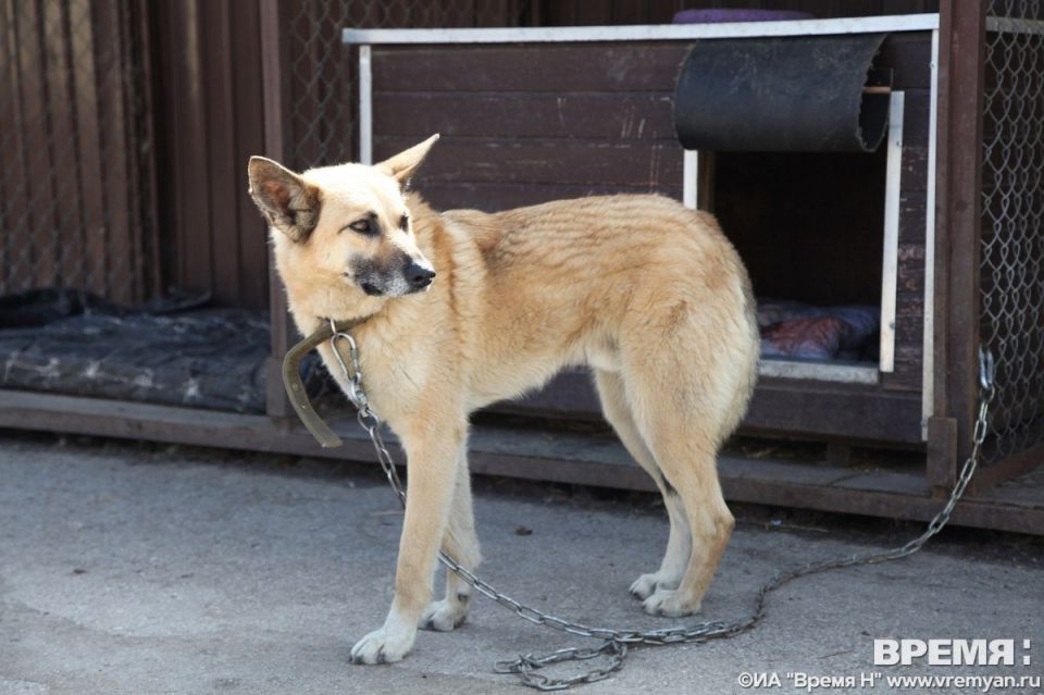 ������� ��������������� �� ����������� ���������� ������ ������������� �������