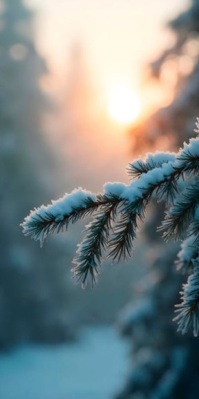 � ��������� ������� ��������� ���� ����� ��������