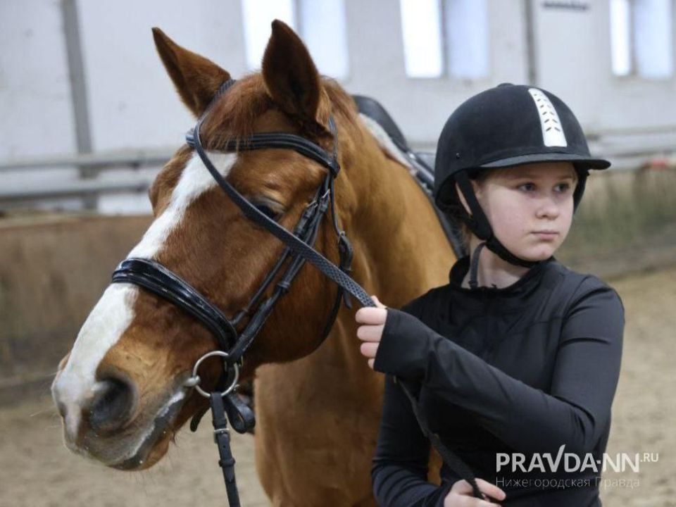 �������, ����� � ������. ����� ���������������