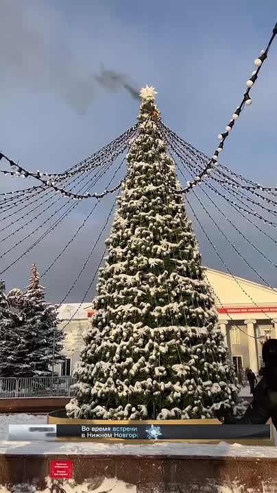 Во время встречи поезда Деда Мороза в Нижнем Новгороде загорелась праздничная ель