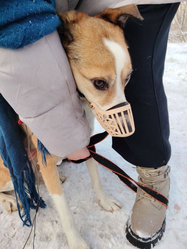 ����� ������������� ������������ ���� ����� ������ ��� �� ������ �����