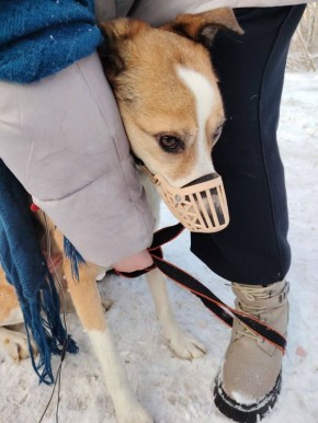 ����� ������������� ������������ ���� ����� ������ ��� �� ������ �����