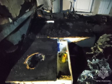 ����� � ������ ���������. ��� ���������? ������ ���