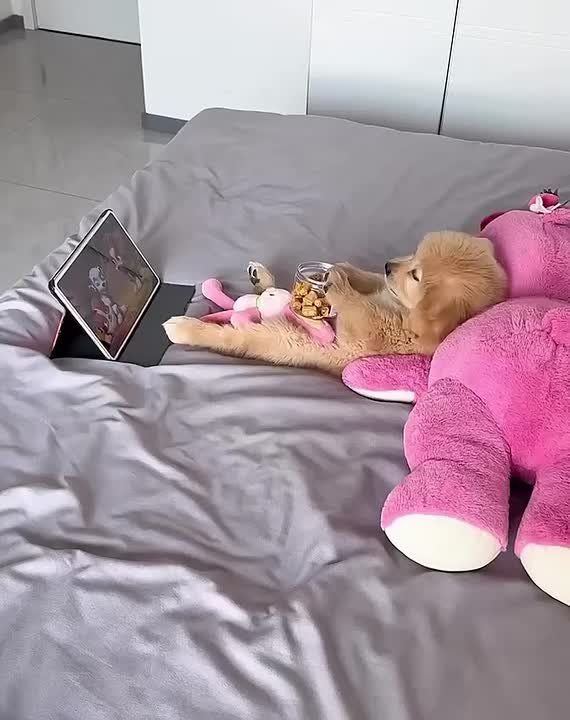 ����� ��� ������ ��� ����. ������ ���������, ��������� ������� ����� � ��������� ����� �������� � � �������������