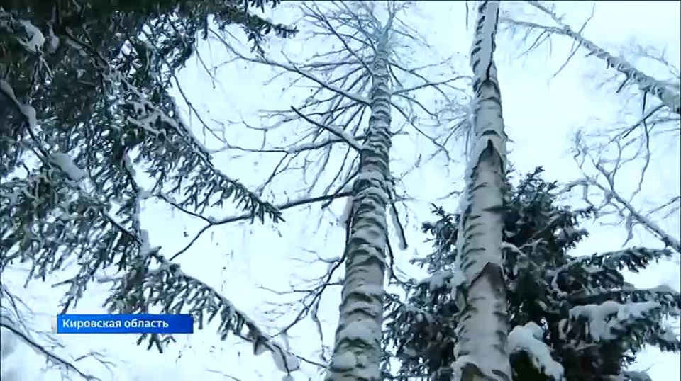 ��������� ������� �����, ������� � ������� � ������� ���