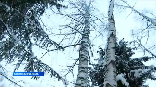 ��������� ������� �����, ������� � ������� � ������� ���