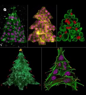 - ��� ���� �������� ��������, � ��� �������� ���� �������