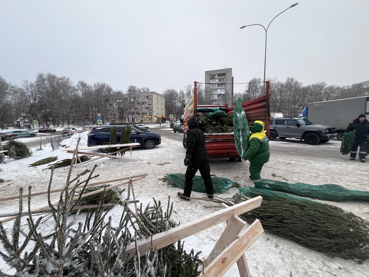 Более 250 елей изъяли в Советском районе Нижнего Новгорода Более 250 елей изъяли в Советском районе Нижнего Новгорода