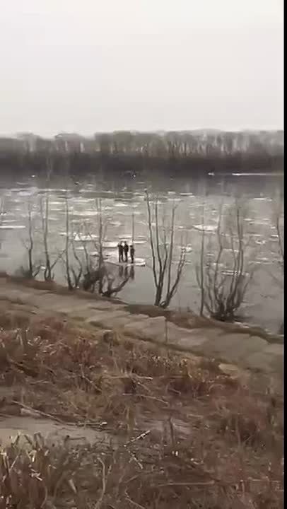 ������ ���������� � ���������� � 1 ������ 2026 ����