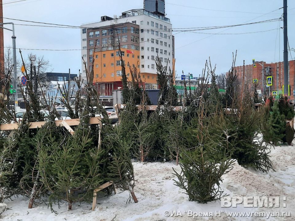 ����� 250 ���� ������ � ��������� ������ � ���� ������