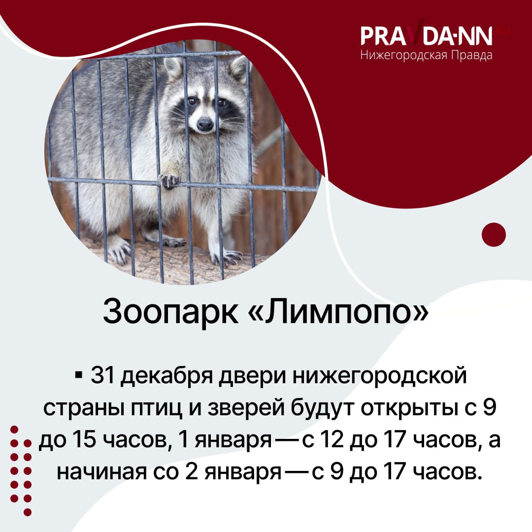 С 31 декабря по 11 января нас ждут длинные выходные – график работы изменится у многих социальных учреждений Нижегородской области С 31 декабря по 11 января нас ждут длинные выходные – график работы изменится у многих социальных учреждений Нижегородской области