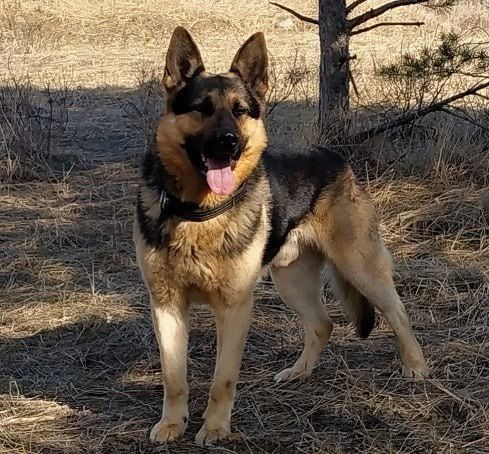 ������, ��� ���������� ��������� � ������������ �������