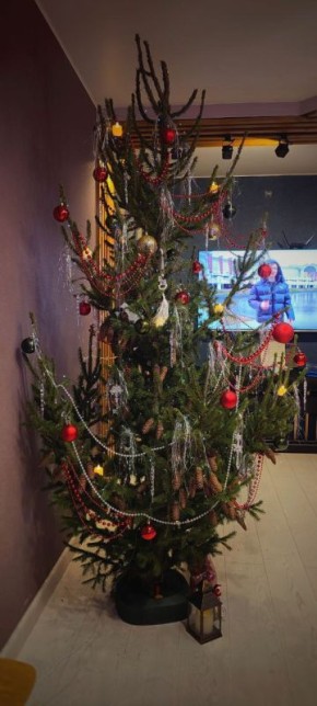 Продолжаем публиковать фотографии и видео украшенных к Новому году елочек от наших подписчиков